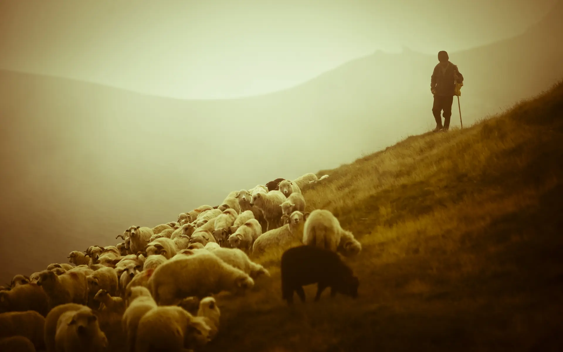 romania