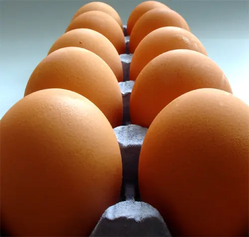 11 tips para evitar la contaminación en alimentos