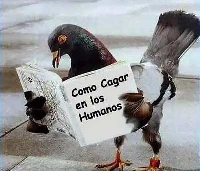 imagenes