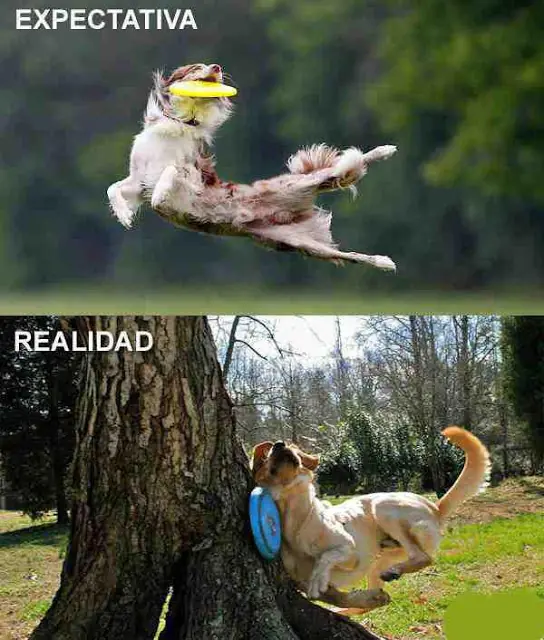 Imagenes graciosas