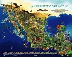 megapost mexico