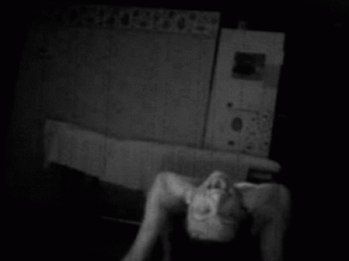 terror