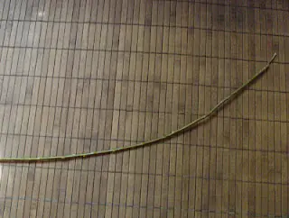 un