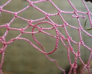 atrapa