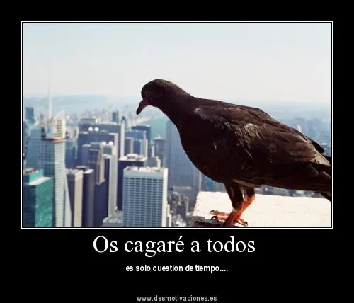 cuanta razon
