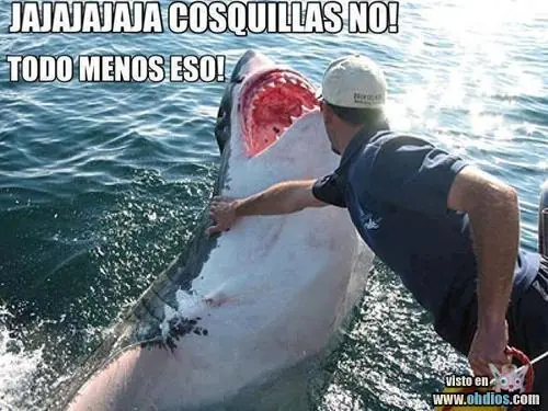 Más imágenes divertidas...