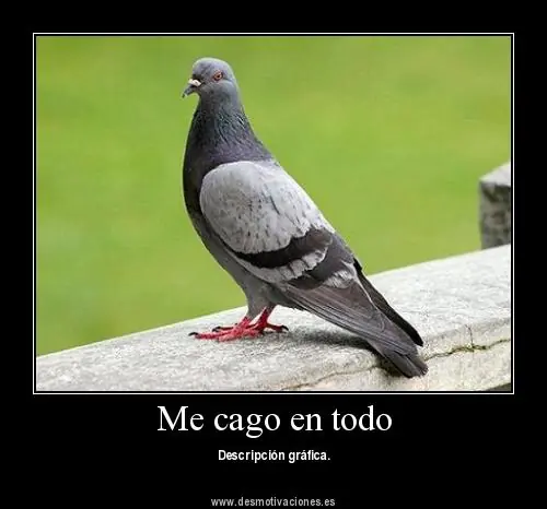 humor