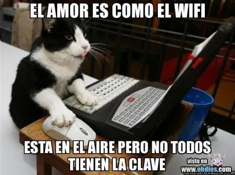 Más imágenes divertidas...