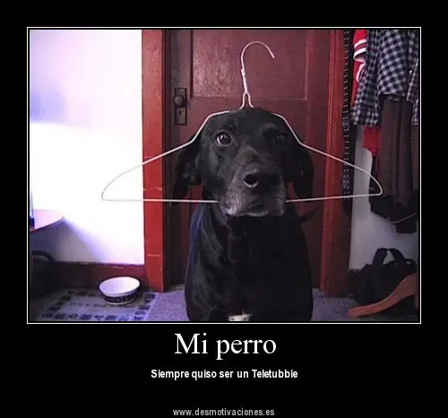 No tienes nada que hacer? entra y diviertete [Megapost]