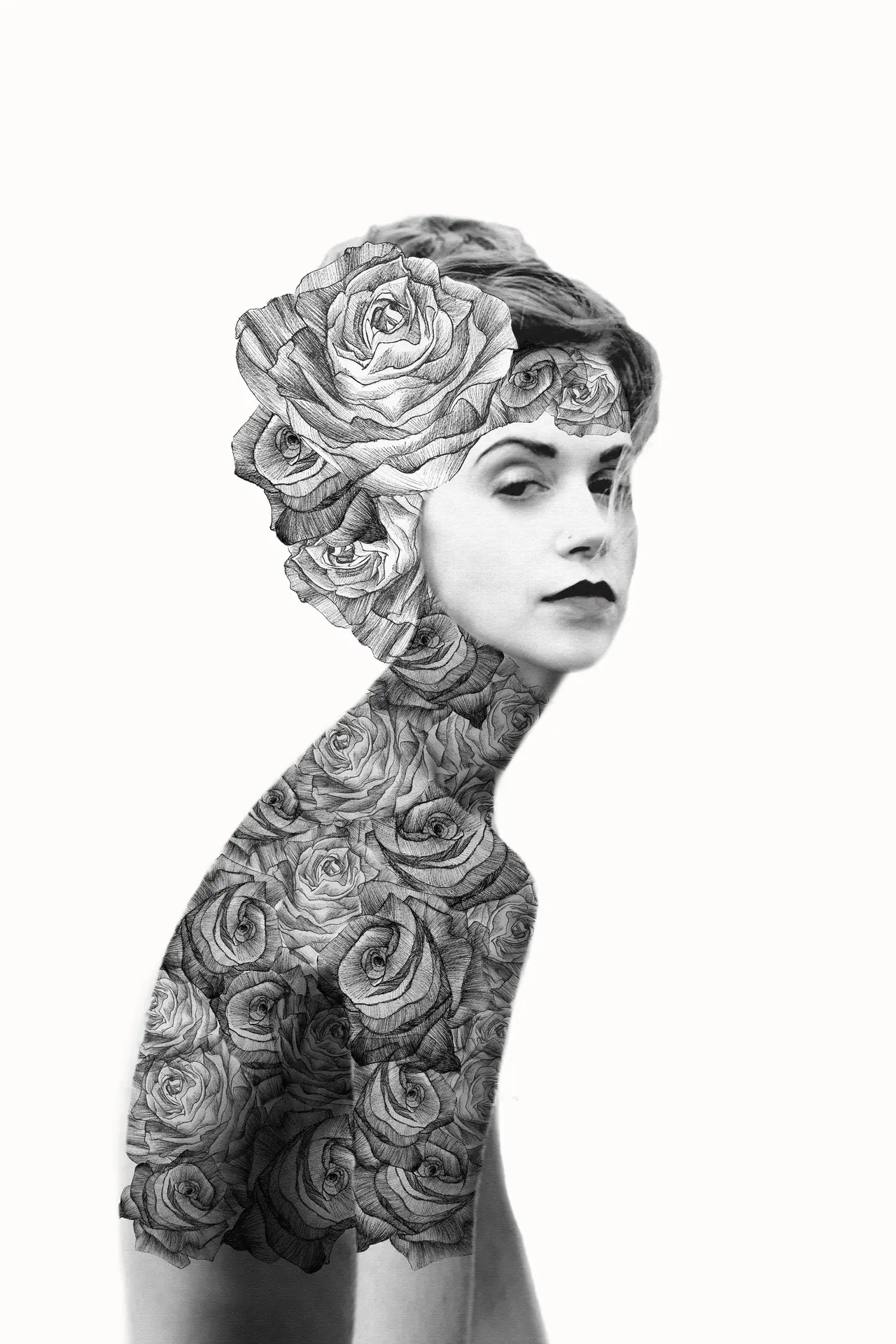 Jenny Liz Rome - Ilustraciones