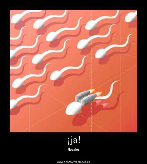 humor