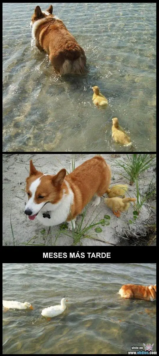 Más imágenes divertidas...