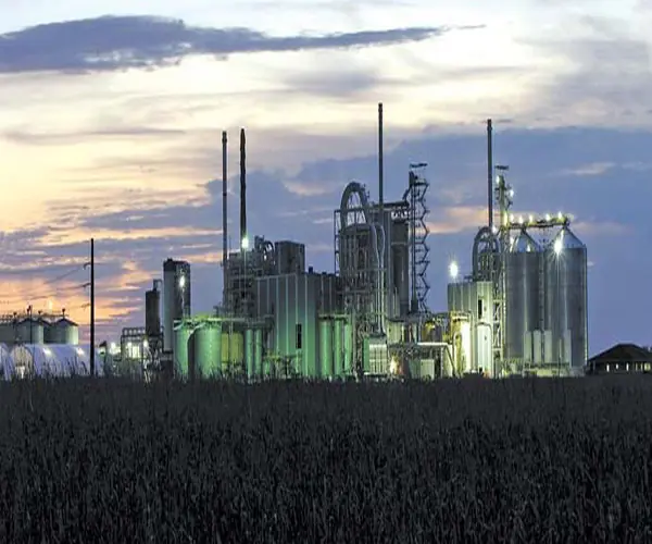 Cargill ataca derechos de los trabajadores en Egipto