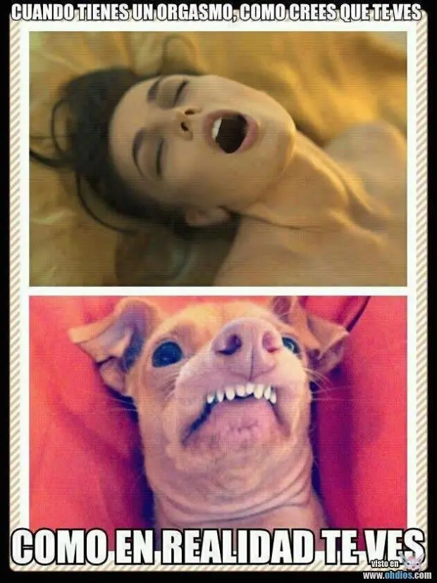 Más imágenes divertidas...