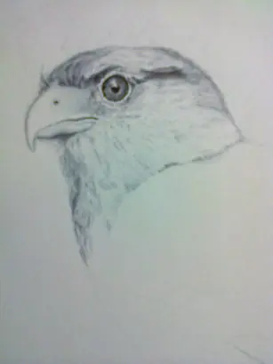 Dibujo