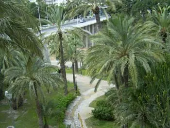 Elche (Alicante)