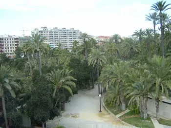 elche