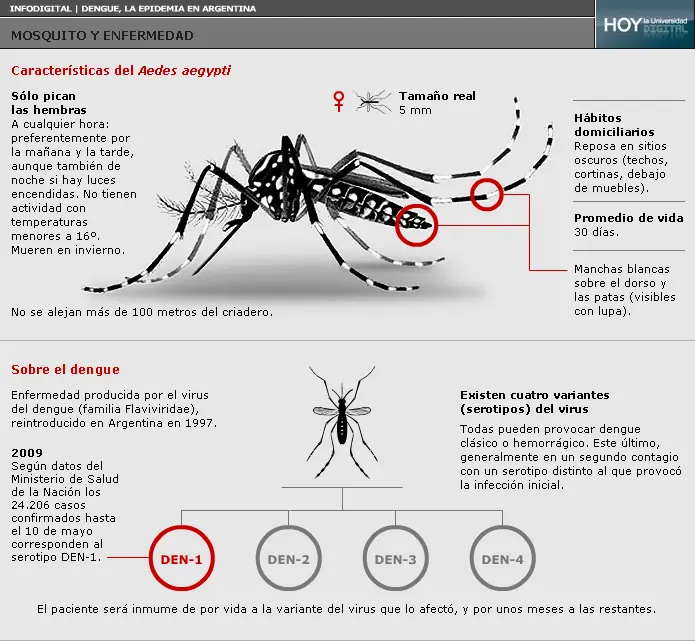 info