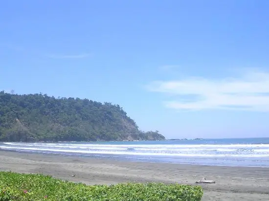 vida