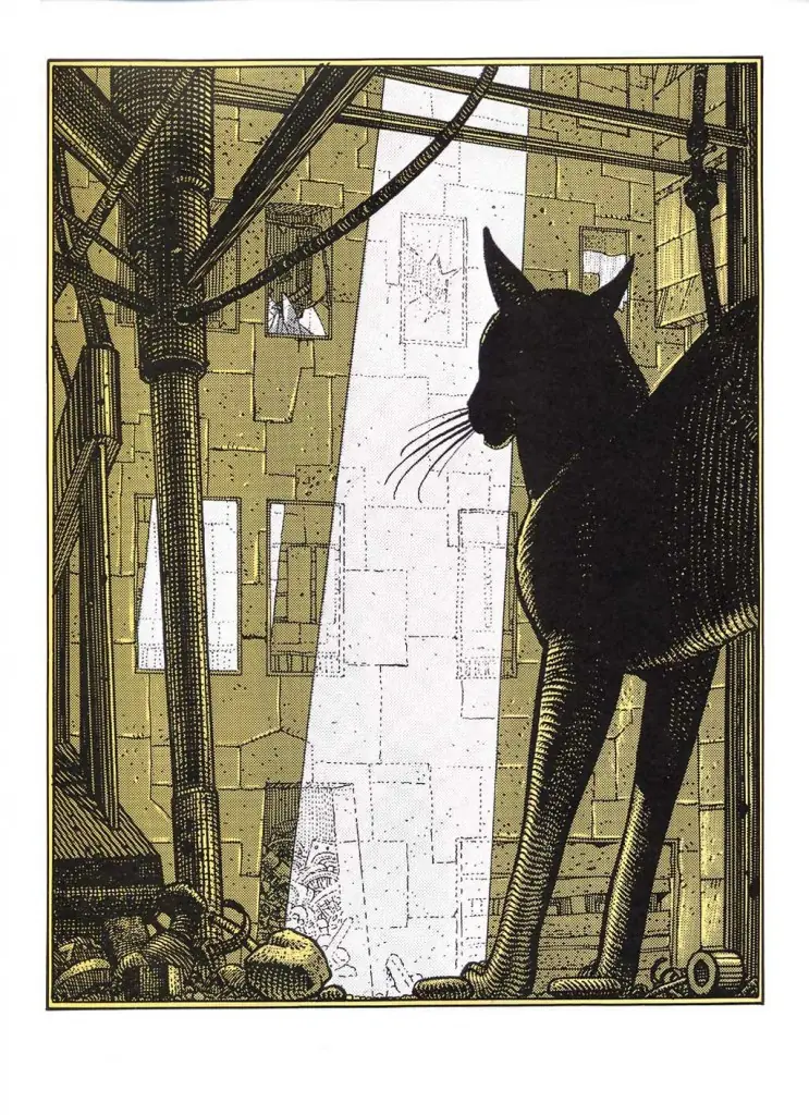 gato