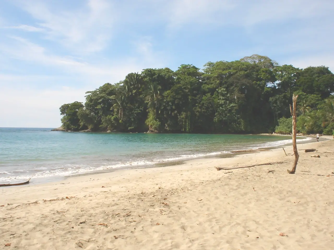 guanacaste