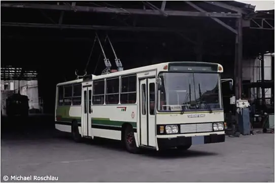 17 Trolebuses Saldrán a Remate