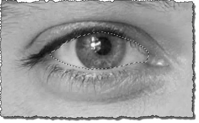 efecto.