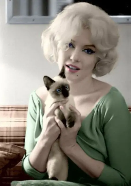 Norma Jeane (Marilyn Monroe)  Parte Cincuenta y cinco