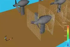 agua
