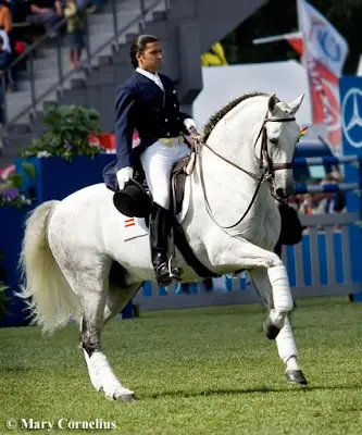 Equitacion...su historia...