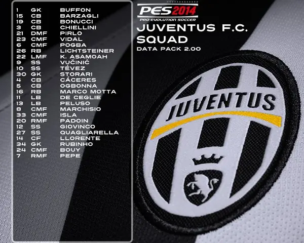 pes 2014
