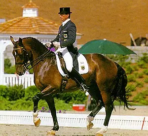 equitacion