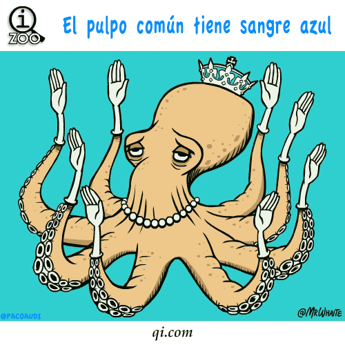 curiosidades