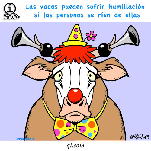 Animales