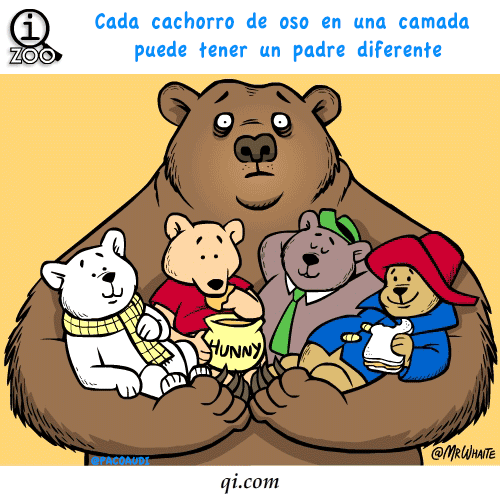 curiosidades
