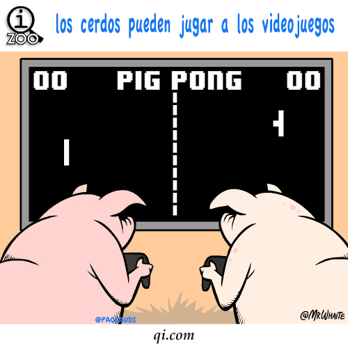 Animales