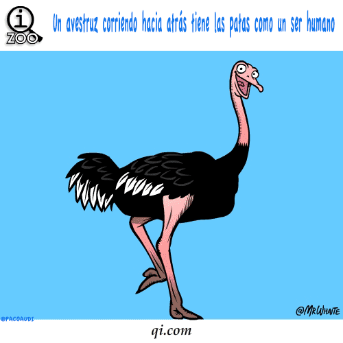 imagenes