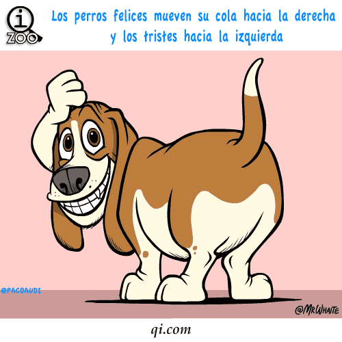 imagenes