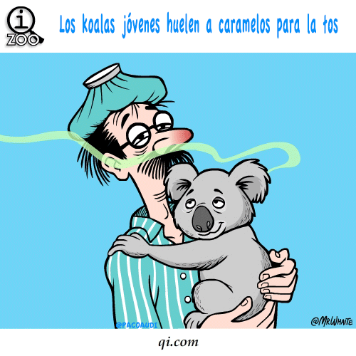 imagenes