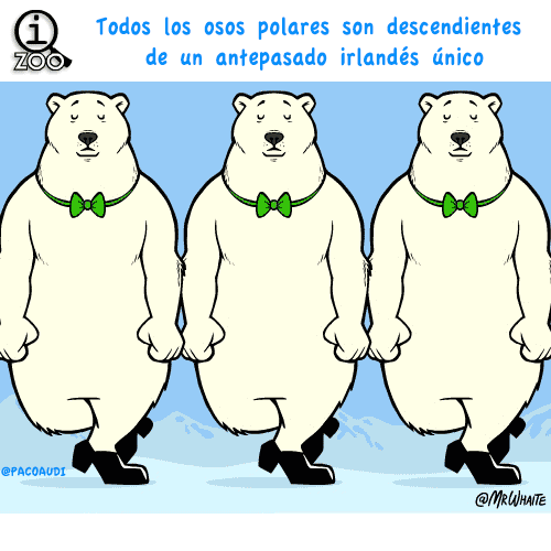 informacion