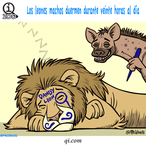 Curiosidades de animales