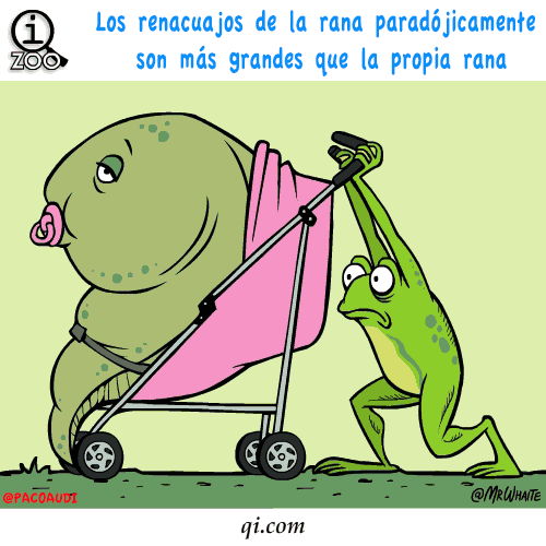 Animales