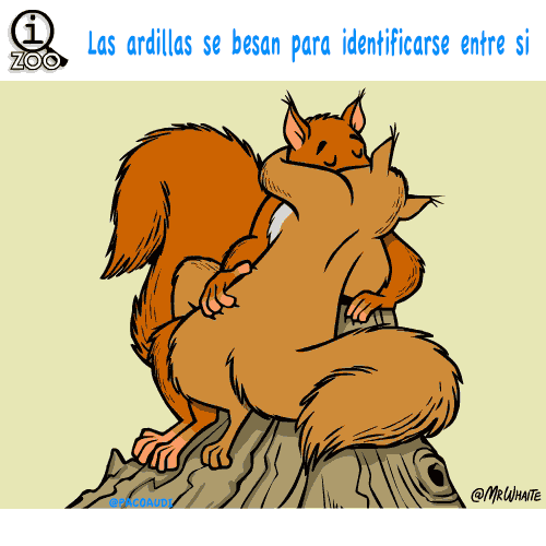 Animales