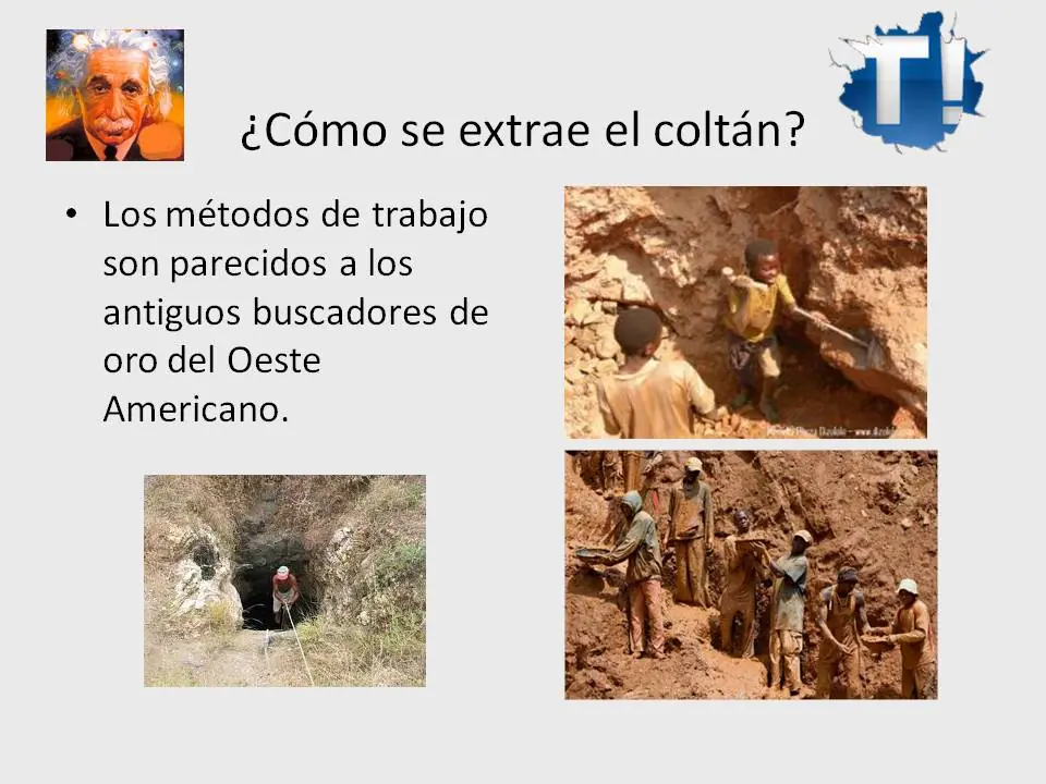 celulares