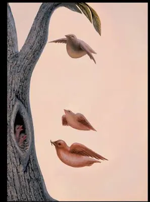 doble sentido