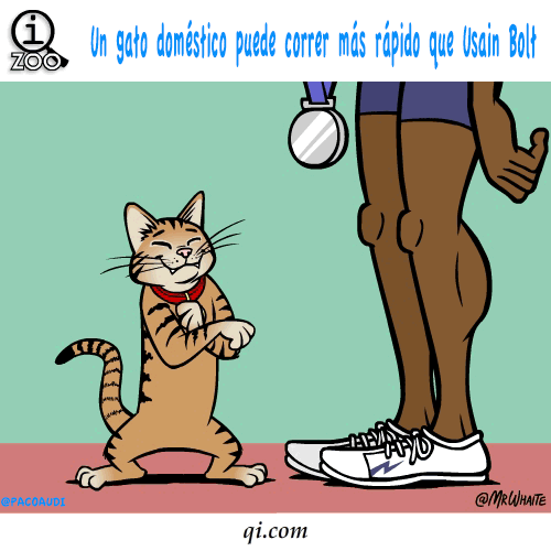 imagenes
