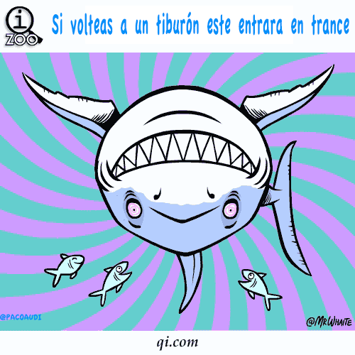 Curiosidades de animales