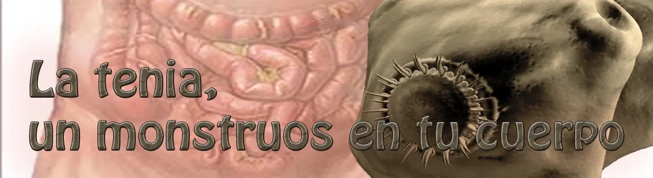 Humano