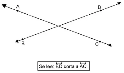 enseñanza