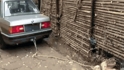 .Gifs y contenido variado
